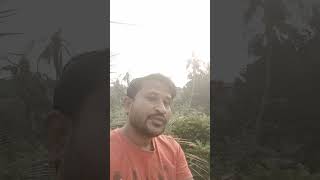 Tumhe Apna Bana song hindisong