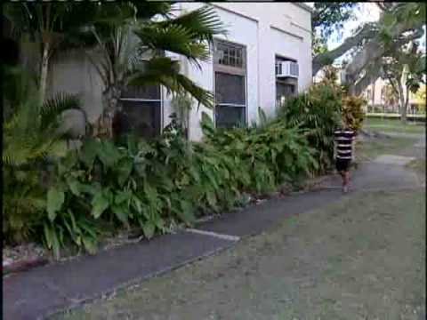 UH Student Reveals Reasons Behind Porn Photos 