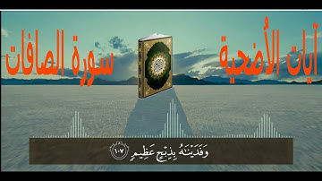 { وفديناه بذبح عظيم } _ تلاوة هادئة يخشع لها القلب لما تيسر من سورة الصافات | آيات الذبح