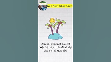 Vì sao cây dừa hay mọc ở bãi biển ?| Xúc Xích Cháy Cute#shorts