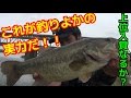 #2 釣りよかの実力は！？230人が出場する大会に出てみた！