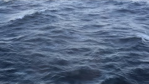 You can’t control the wind but you can adjust the sails with me .SLS