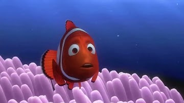 Finding Nemo (2003) Barracuda Attack Only Nemo Survived 