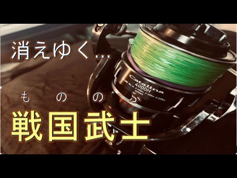 ⭐︎8月7日で削除します⭐︎ダイワ　キャタリナ4000h Yahoo!オークション -「ダイワキャタリナ4000h」の落札相場