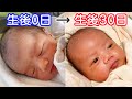 どんどん顔が変わってく！！生後0日～1ヶ月！新生児赤ちゃんOf the Japanese baby after being born; the change of the face