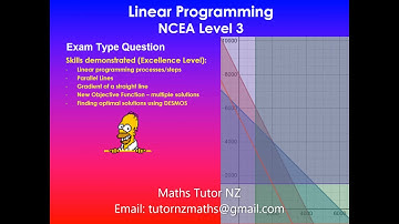 Excellence | Exam Type Question | Linear Programming | NCEA Level 3 Mathematics | NZQA 2020