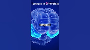 Unlocking the Mysteries of the Human Brain