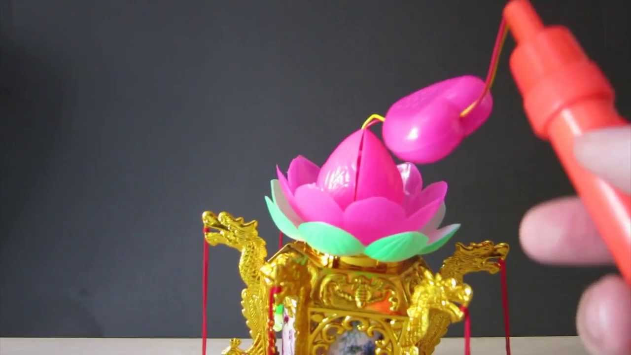 Chinese Mid Autumn Festival Lantern TAT 中秋節 八月