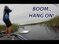 Big Bass Attacks Spinnerbait! - Scott Martin - How To Spinnerbait Fishing Tip on Okeechobee