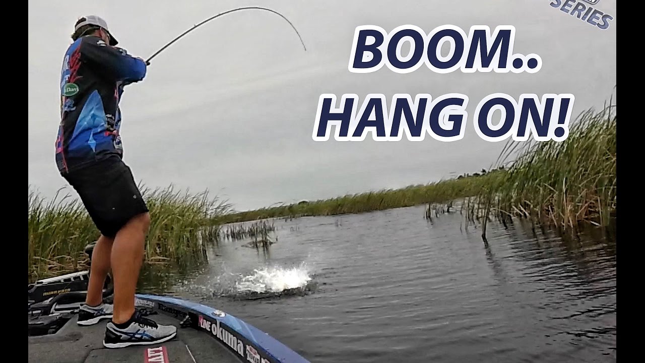 Big Bass Attacks Spinnerbait! – Scott Martin – How To Spinnerbait Fishing Tip on Okeechobee