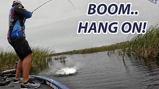 Big Bass Attacks Spinnerbait! - Scott Martin - How To Spinnerbait Fishing Tip on Okeechobee
