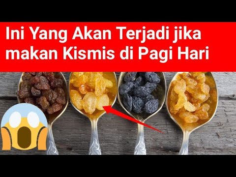 Video: Apa Yang Hendak Dimasak Dari Kismis Hitam