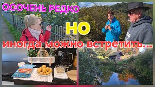 видео: ОЧЕНЬ редко такое/много рыбы & ВСТРЕТИЛА РОДИТЕЛЕЙ & ВЫШЛА С утра на ПрОгУлКу, . картинка: ОЧЕНЬ редко такое/много рыбы & ВСТРЕТИЛА РОДИТЕЛЕЙ & ВЫШЛА С утра на ПрОгУлКу, .