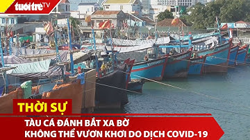 Khánh Hoà: Hàng trăm tàu cá đánh bắt xa bờ không thể vươn khơi do dịch covid-19 | Tuổi Trẻ TV