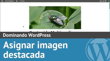 Curso Wordpress 12: Asignar imagen destacada