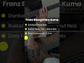 Best Fretless Bass ever? Franz Bassguitars Kuma 5 fretless #shorts #franzbassguitars #fretlessbass