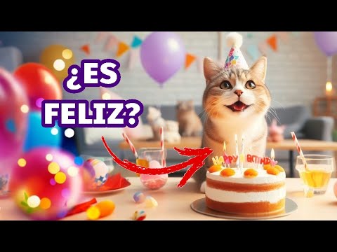 10 SEÑALES de