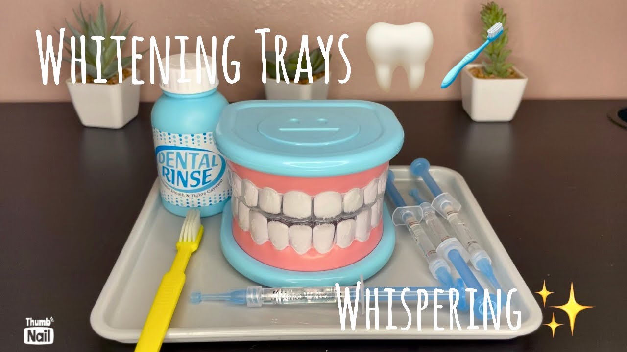 ASMR | Whitening Tray Visit | Melissa and Doug super smile kit