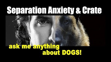Separation Anxiety and Crate Issues - Dog Training and Behavior Video