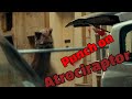Punch on Atrociraptor 😵 Jurassic World Dominion