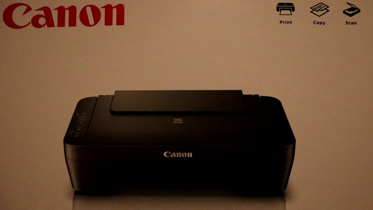 Canon PIXMA MG 2555 S 