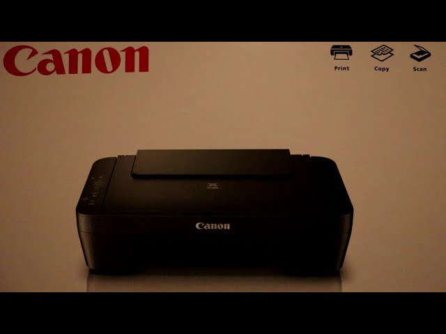 Canon PIXMA MG 2555 S 