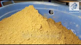 Feed preparation for Tilapia | MM Hatcheries | Monosex Tilapia Fish | Chhattisgarh