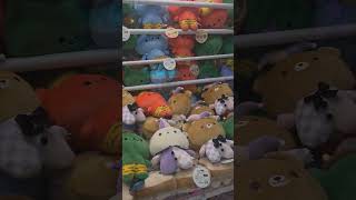 #hongkong #夾娃娃 #hongkongtouristspot #travel #happy #happiness #funny #fun #funnyshorts
