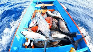 Panen ikan besar di pulau sanana kepulauan sula maluku utara #PART 4 || Spearfishing indonesia