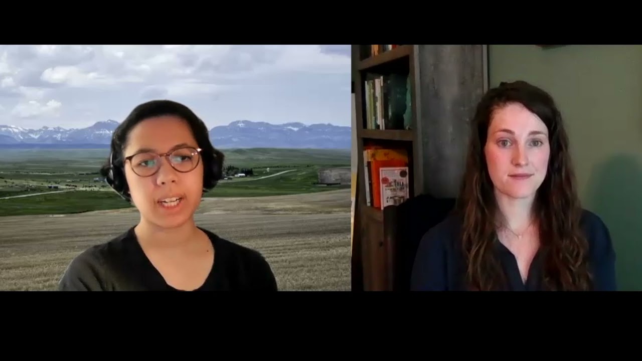 COVID-19 Stimulus Payments in 2021