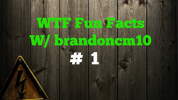 WTF Fun Facts W/brandoncm10 #1