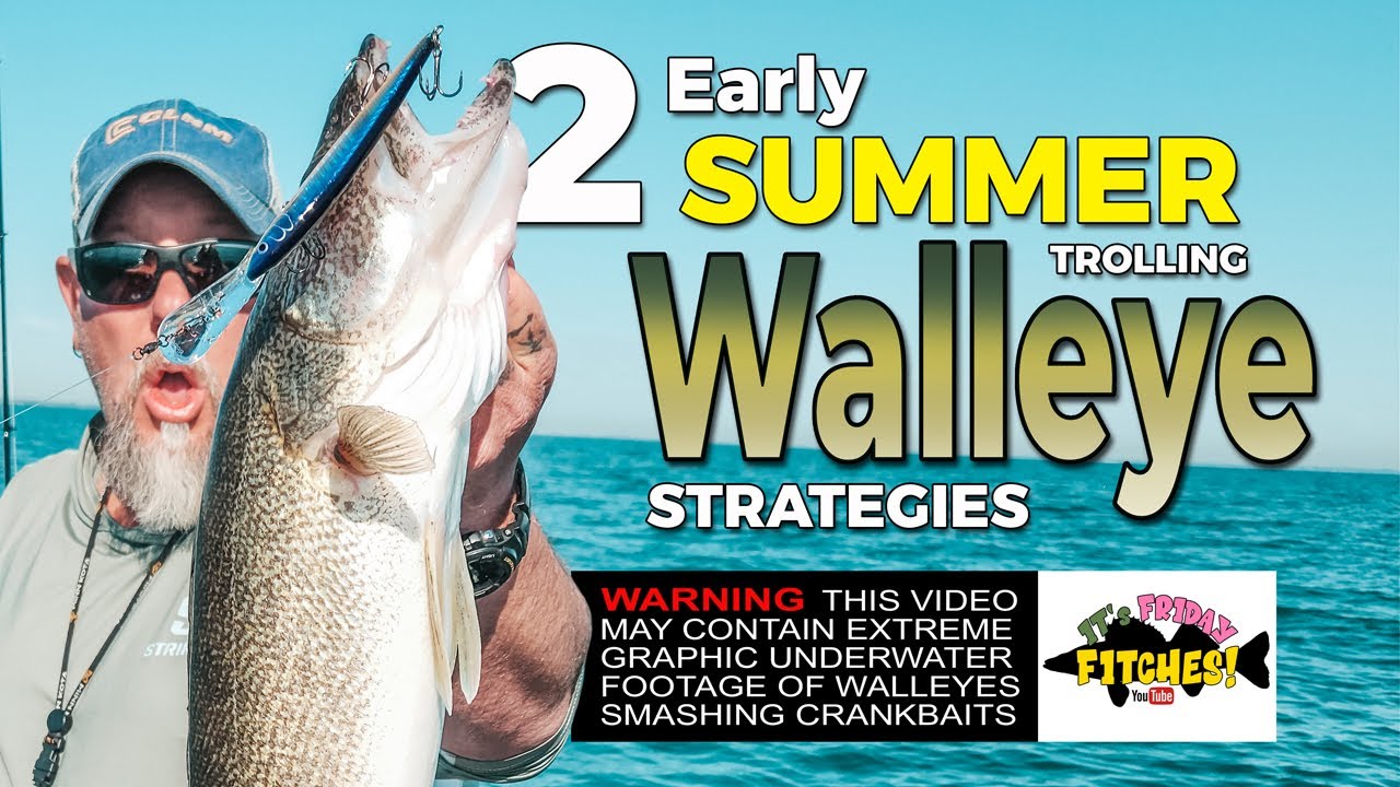 Early Summer Trolling Walleye (contains graphic underwater fishing