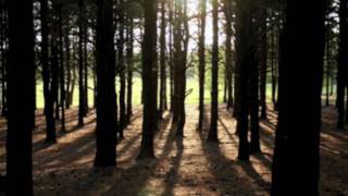 Video thumbnail of "The Hundred Acre Woods - Henry David Thoreau (Demo)"
