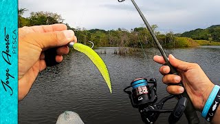 Este PEQUEÑO LAGO está LLENO DE PECES de diferentes especies