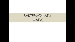 БАКТЕРИОФАГИ (ФАГИ).