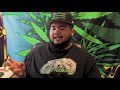Volcano Vaporizer Review | Cannabis Lifestyle TV