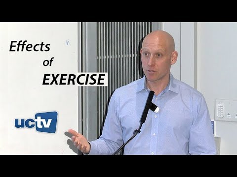 Inside the Effects of Exercise: From Cellular to Psychological Benefits