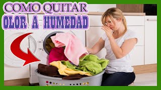 Cmo Quitar El Olor A Humedad De La Ropa