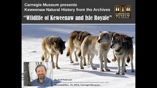 Keweenaw Natural History from the archives: "Wildlife of Keweenaw & Isle Royale" by Rolf Peterson