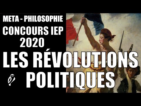Vidéo: La Révolution Comme Processus Politique