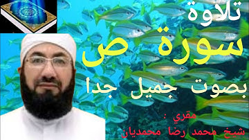 تلاوة سورة ص بصوت جميل جدا 😍 قرآن| مقري: شيخ محمد رضا محمديان Muqri Sheikh Mohammad Reza Mohammadian