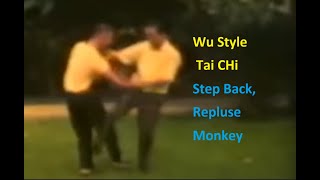 Application of Wu Style Tai Chi Step back, Repulse monkey