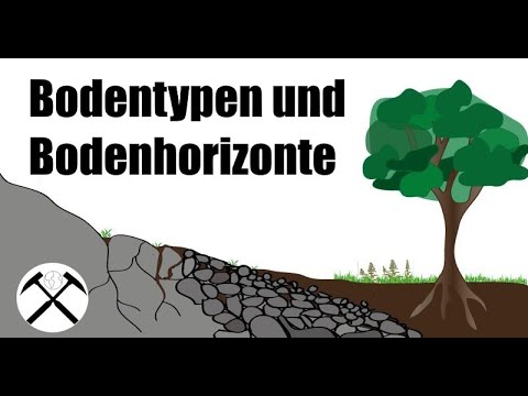 Video: Auenböden: Eigenschaften und Klassifizierung