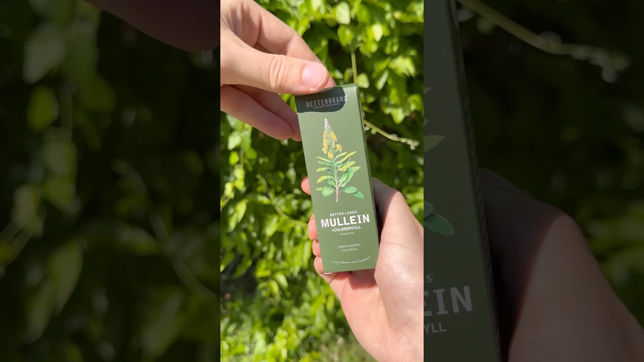 Natural Lung Detox? Here’s What Mullein Does to Your Lungs