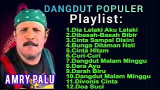 12 Koleksi Album Dangdut Amry Palu -  Playlist Terbaru 2023