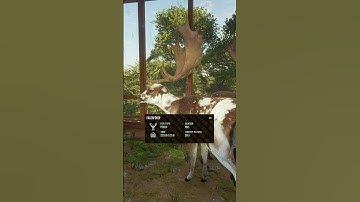 My Top 10 Favorite Trophies In TheHunter Call Of The Wild #cotw #TheHunterCOTW #thehunter