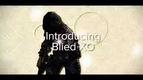 Introducing Blied XO