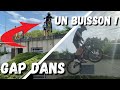 Il gap dans un buisson 