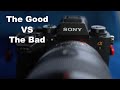 One Month Later with the Sony a1 - The Good vs The Bad