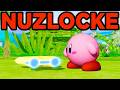 Kirby Air Riders Nuzlocke